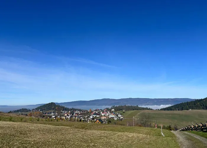 Dursztynianka Casa vacanze *